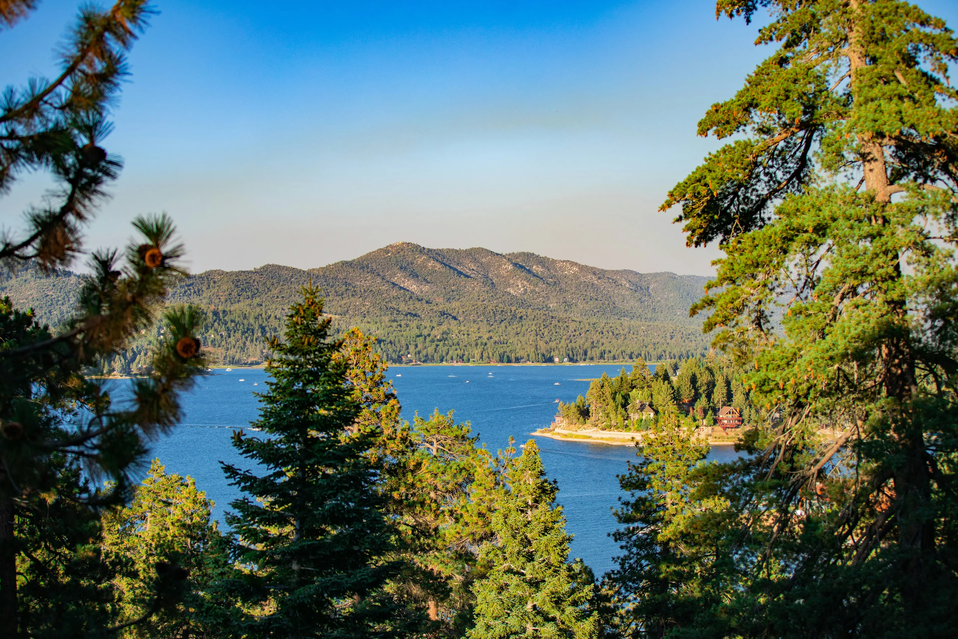 Big Bear Lake framed by pine trees, with forested mountains rising beyond the water