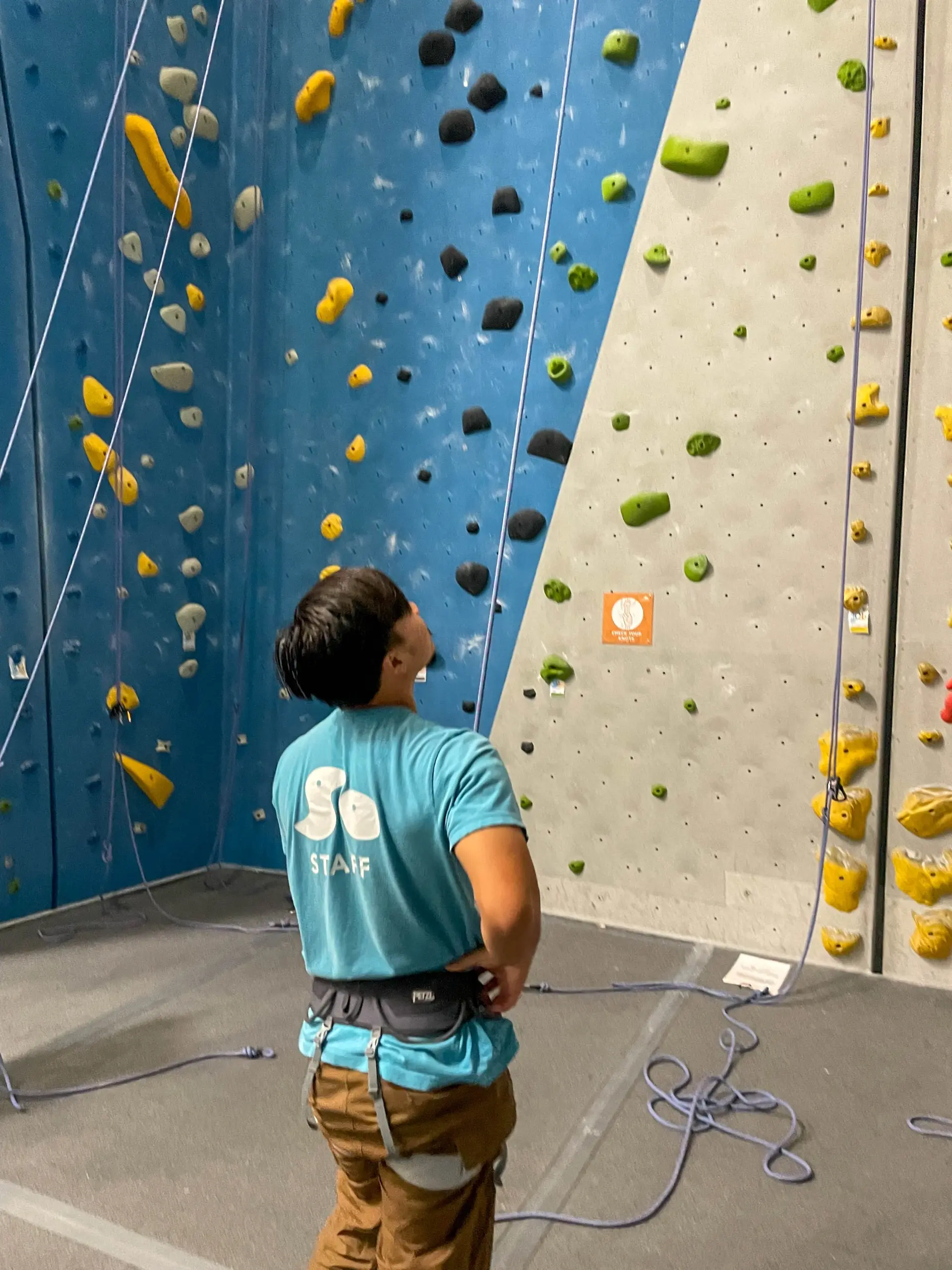 A Sender One staff member in a teal staff shirt and harness, seen from behind, looks up the rope at a climber on a tall indoor climbing wall