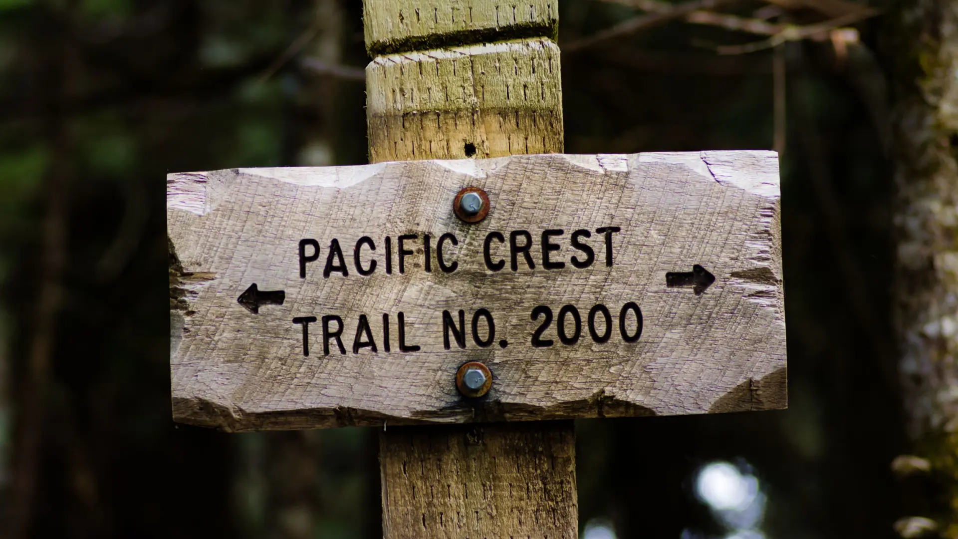 A carved wooden Pacific Crest Trail No. 2000 sign on a post, with arrows pointing both ways along the trail