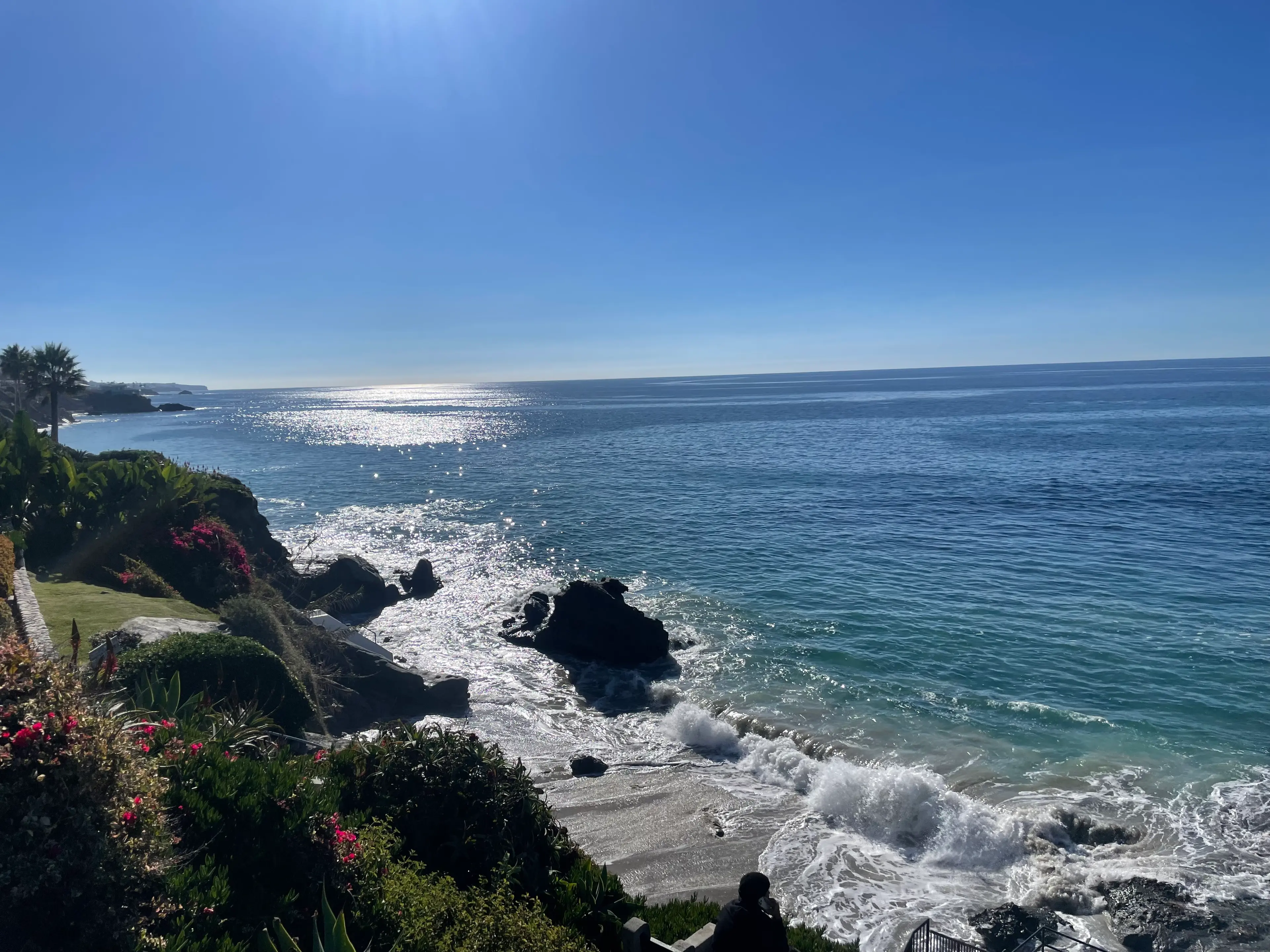 Looking down from a flowering coastal bluff at waves breaking around rocks along a sunlit Pacific shoreline