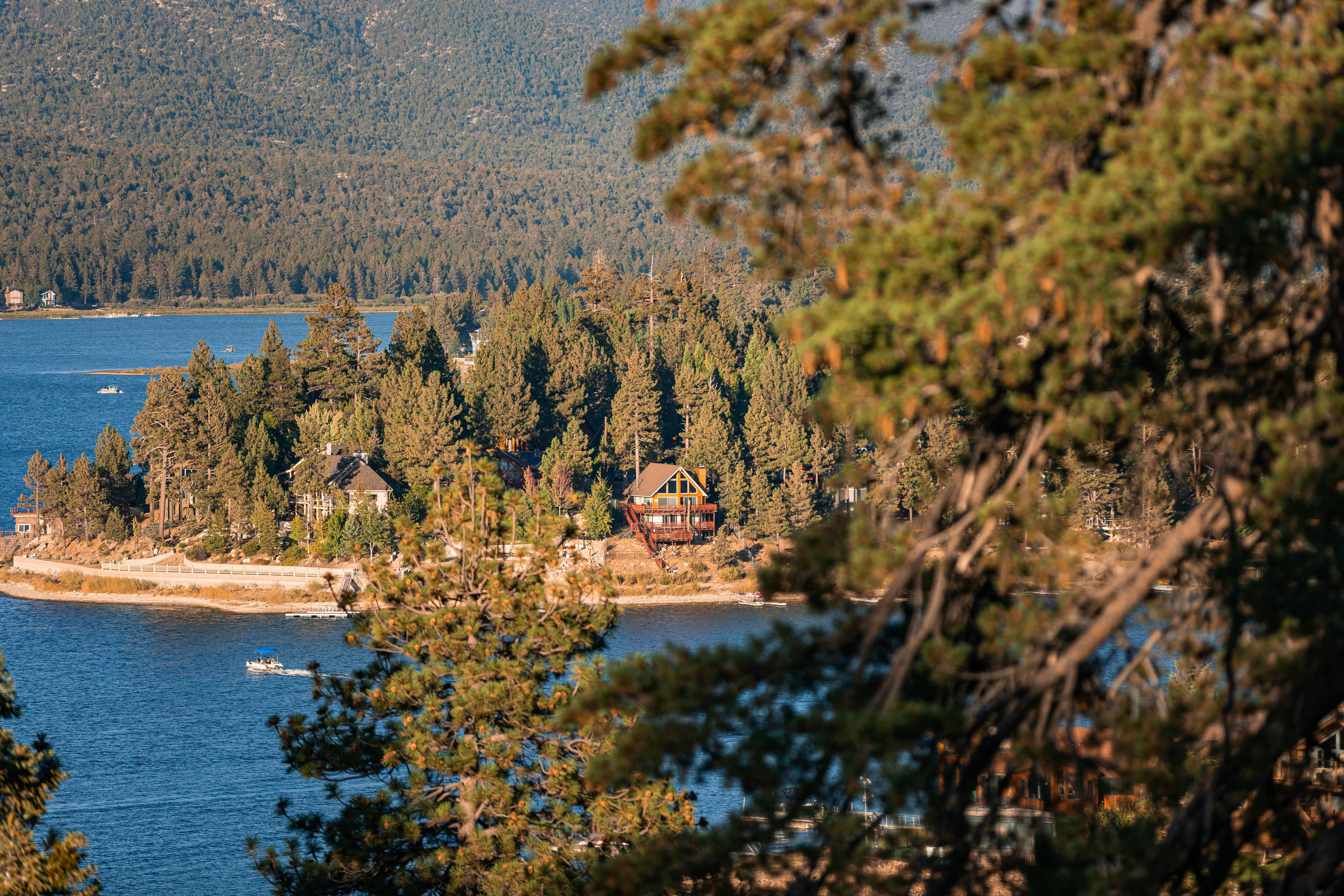 Big Bear Lake seen through pine trees, with cabins along the shore