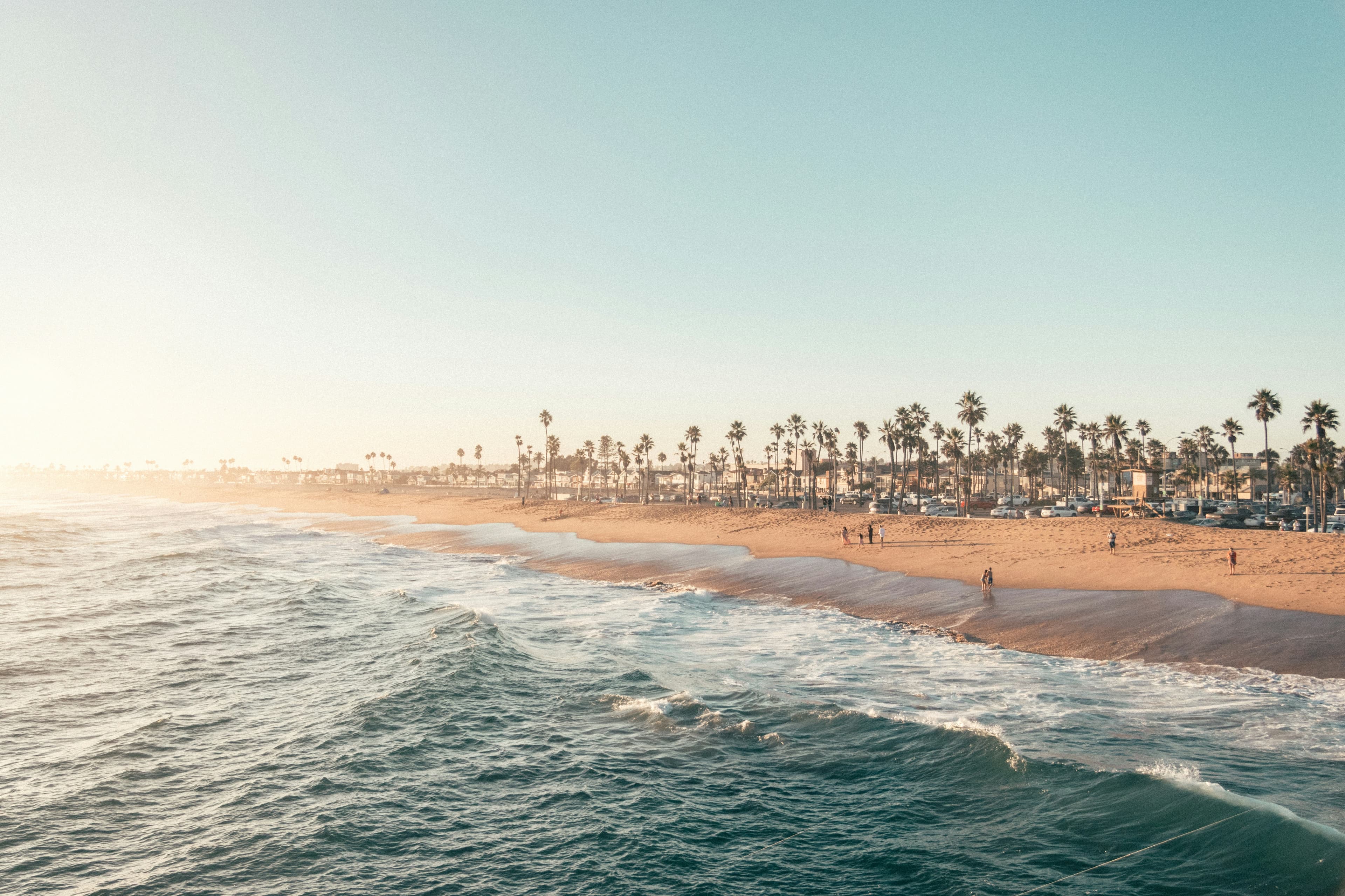 Southern California beach at sunset with palm trees along the shore